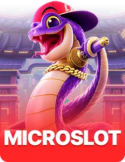 microslot_04052026_114953